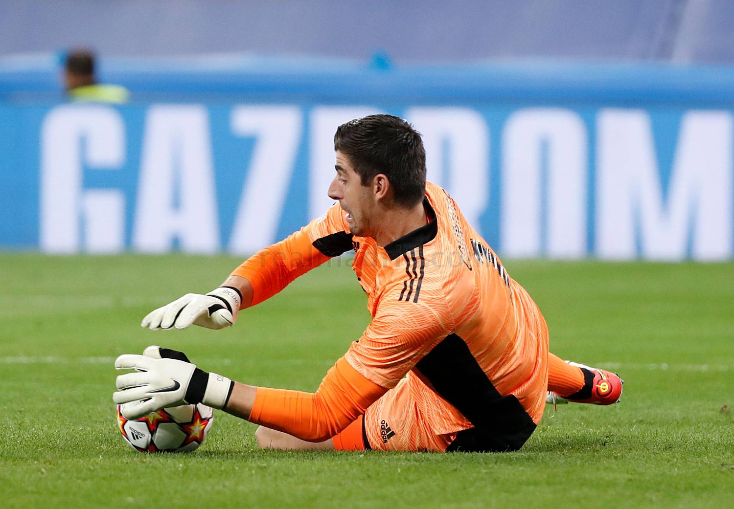 Courtois